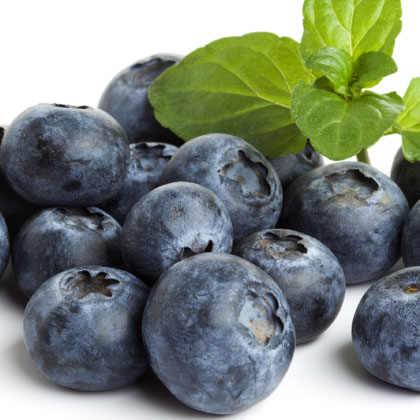 Bilberry