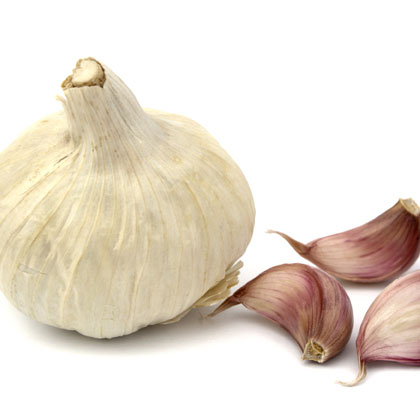 Garlic
