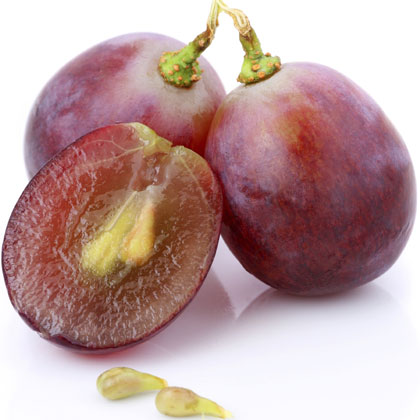 Grapeseed
