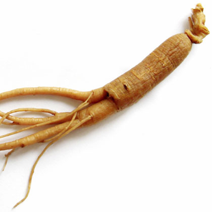 Siberian Ginseng