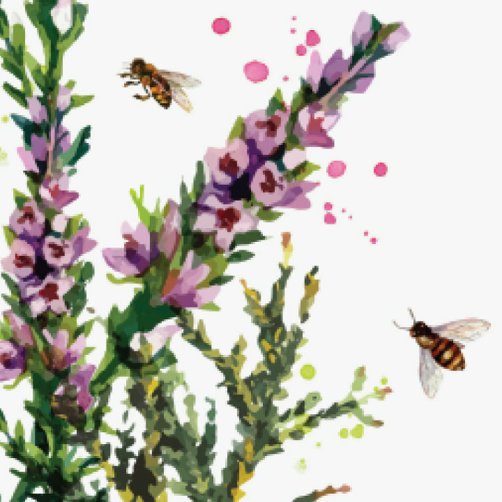 Nature's Own Nutritional Support